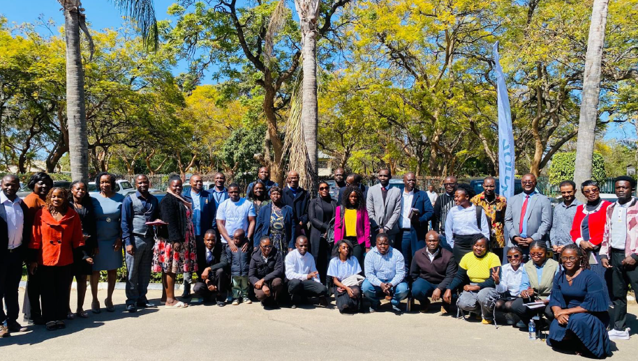 Group photos of the participants of the Zambart project 